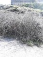 /album/a-temeto-fele-vezeto-ut-es-falu-vege-gazirtas/a11059771-1405744996411480-7610532358591060072-n-jpg/