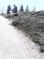 /album/a-temeto-fele-vezeto-ut-es-falu-vege-gazirtas/a11061740-1405747829744530-6611946051256305672-n-jpg/