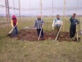 /album/a-munkak-fojtatodnak/a10734046-1402024776783502-3774283932667184009-n-jpg/